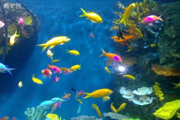 上海海洋水族馆