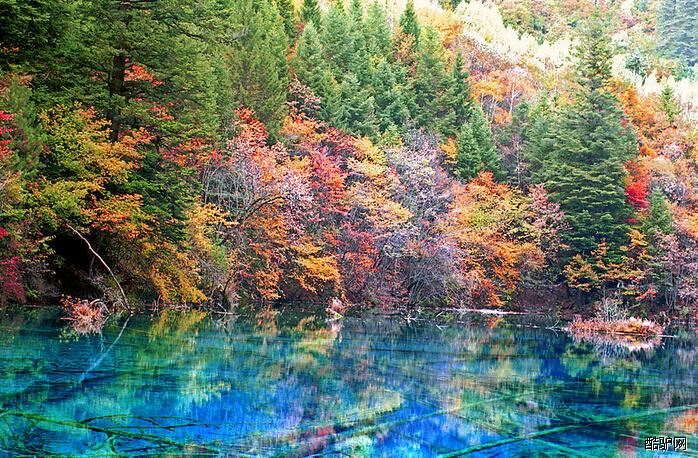 四川九寨沟景点介绍